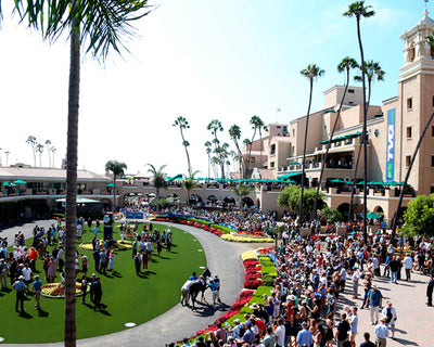 Del Mar Records Strong Across the Board Gains