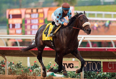 Prime Attraction Retired to Stud in Ontario