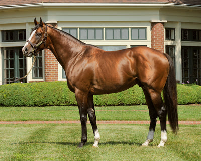 Union Rags Firster Proves Best in Big Easy
