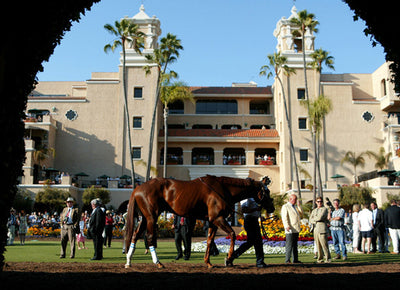 Breeders' Cup Tickets on Sale July 16
