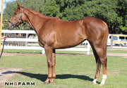 Unnamed by UNION RAGS