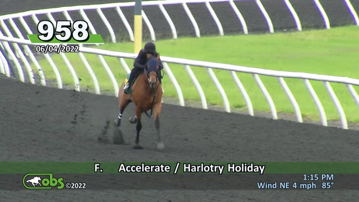 Unnamed by Accelerate