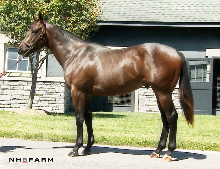 Unnamed by Union Rags